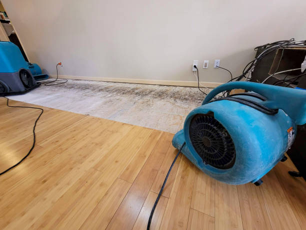 Professional Water Damage Repair technician working in Nelson, NH